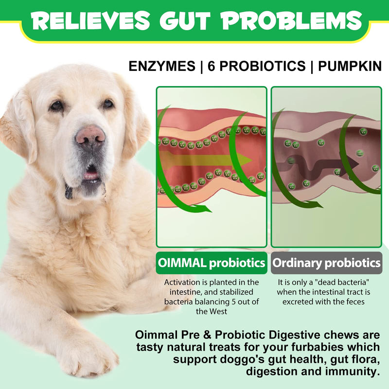 Probiotics for Dogs Digestive Health, Digestive Probiotic Soft Chews for Dogs, Dog Probiotics and Digestive Enzymes, 120 Dog Probiotics Chews Omega-3 & 6, Vitamin, Improve Digestion, Immunity - PawsPlanet Australia