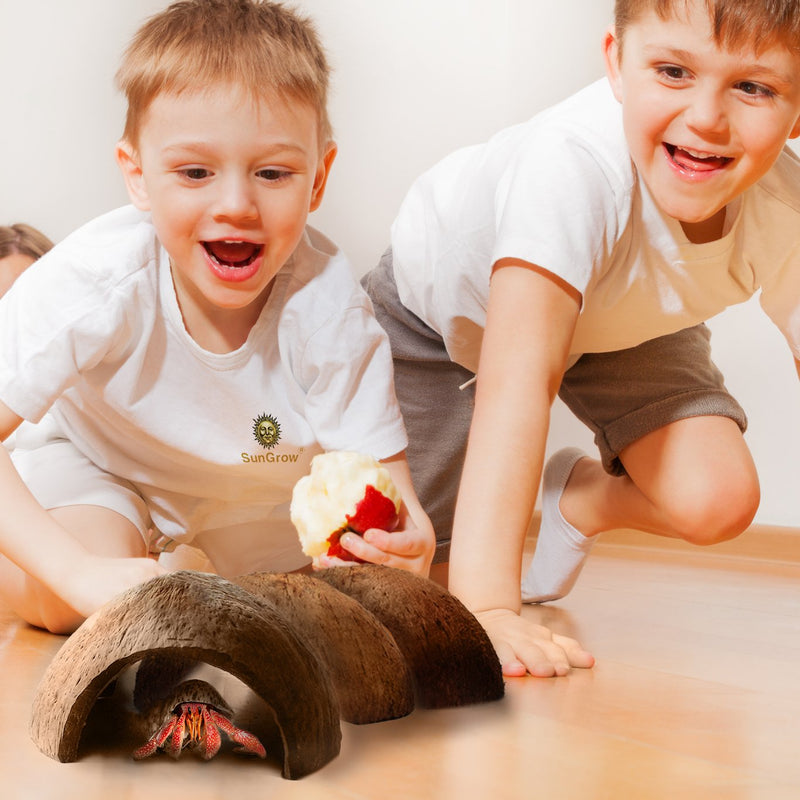 SunGrow Hermit Crab Huts, 5x3 Inches, Arthropod's Coconut Hide, Spacious Coco Tunnel, Use as Hermit Cave or Climber 1 Piece - PawsPlanet Australia