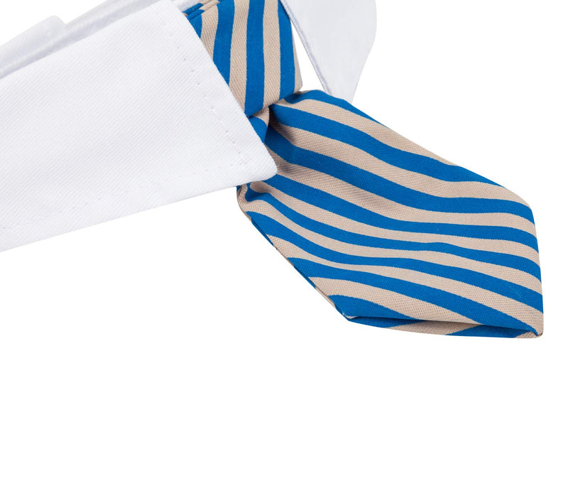 [Australia] - ZTON Bowtie for Little Puppy, Handcrafted Adjustable Formal Collar Neck Tie for Dogs & Cats S Blue Stripe 