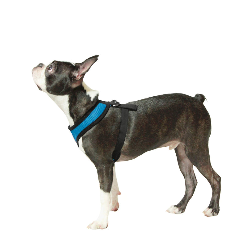 [Australia] - Gooby - Soft Mesh Harness, Small Dog Harness with Breathable Mesh Small chest (9.5-13") Sea Blue 