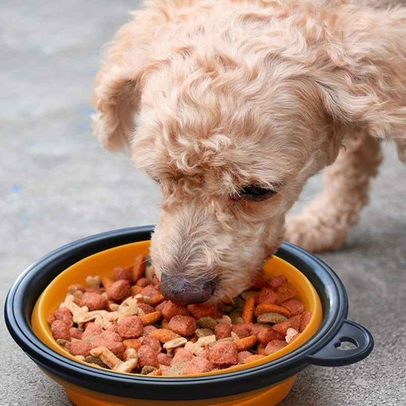 LxwSin Large Collapsible Dog Bowl, Travel Pet Bowl, 6 PCS Silicone Portable Pet Food Water Bowl Foldable Expandable Cup Dish for Outdoor Pet Dog Cat Food Water Feeding with Carabiner Clip for Travel - PawsPlanet Australia