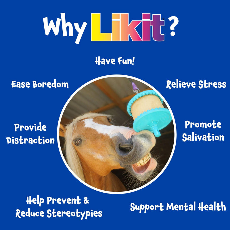 Liit Little Likits electrolyte supplement for horses 650 g (pack of 1) cherry - PawsPlanet Australia
