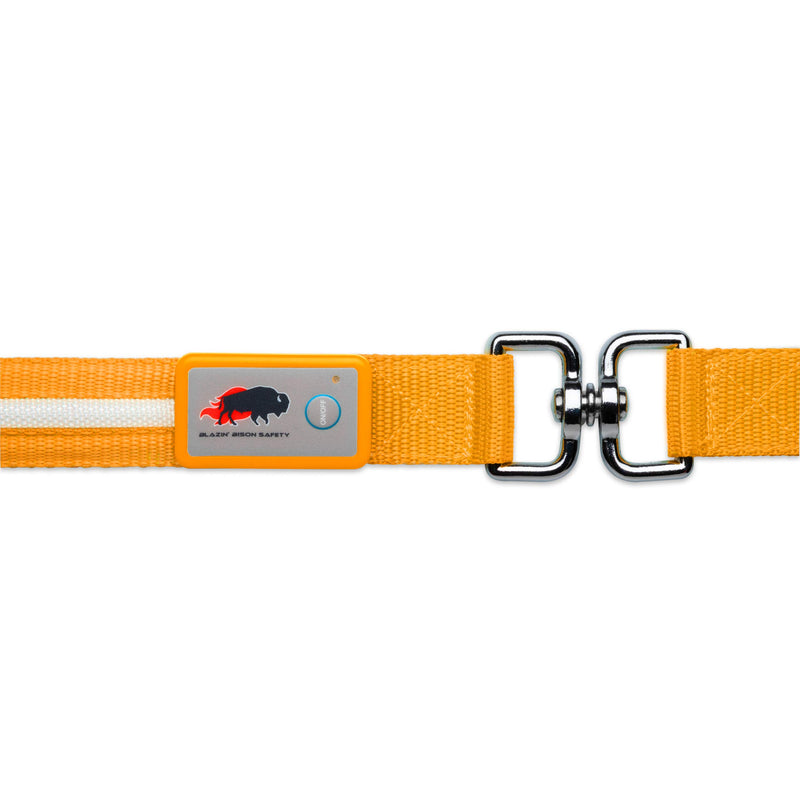 Blazin' Safety LED Dog Leash - USB Rechargeable Flashing Light Lead, 6 Ft, Water Resistant – Avoid Danger (Large, Orange) Large - PawsPlanet Australia