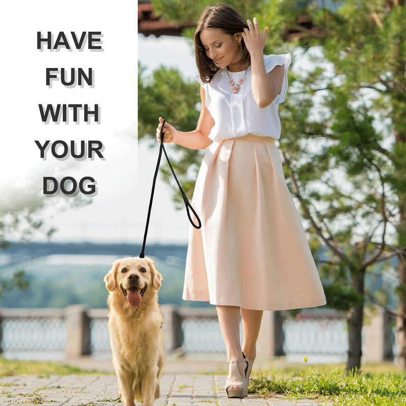 Dog Slip Leads Leash, 4.5FT Durable Puppy Rope Leashes Collar Nylon Dog Training Walking Lead Leashes for Small Medium Dogs (Black) Black - PawsPlanet Australia