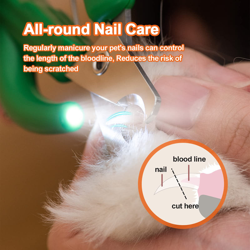 Claw scissors for dogs and cats with nail file | Original cactus design claw care cutter with LED & UV light Professional Unique Stainless Steel Claw Grinder Ideal for Small Pet Green - PawsPlanet Australia