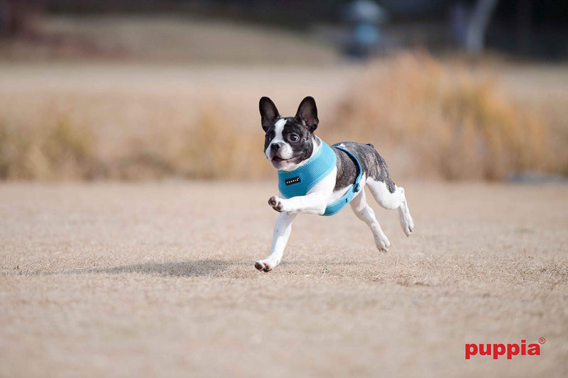 Puppia Dog Harness small dog and medium dog harness - Super soft and comfortable in many colours - Also usable as Puppy Harness - Anti Pull Dog Lead, Wine Red, S - PawsPlanet Australia