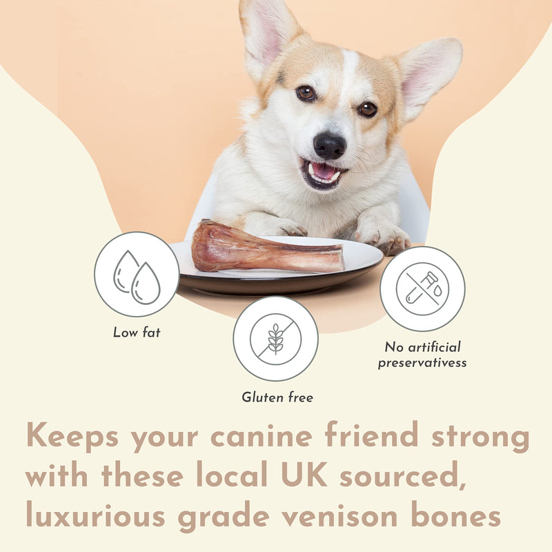 Purplebone Venison Shank Bone Dog Treats, Pack of 1, Dog Bone Treats for Medium or Small Breeds | 100% Natural, Light & Tasty Sticks | Free From Hormones, Additives Or Antibiotics - PawsPlanet Australia