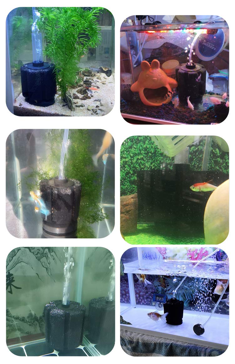 Aquarium Bio Sponge for Breeding Fry, Betta, Shrimp, Nano | Air Filter 5 to 25 Gal Fish Tank - PawsPlanet Australia
