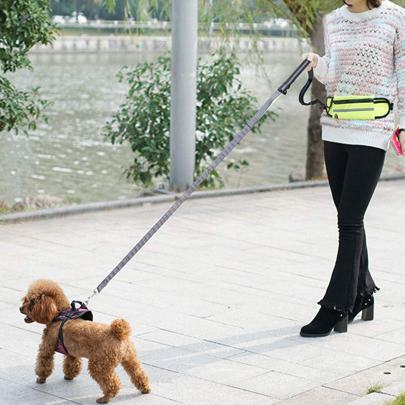 Pet Dog Running Elastic Belt Reflective Stripe Leashes Rope Hands Free Dog Leash Training Running Walking Leash with Waterproof Waist Bag - PawsPlanet Australia