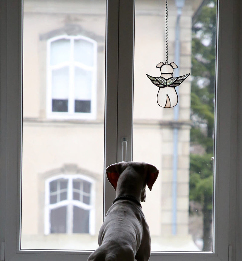 ZUAJITER Angel Dog Memorial Gifts for Loss of Dog Sympathy Gift, Passing Away Remembrance Memory Ornaments for Dog Lovers, Stained Glass Pet Bereavement Window Hanging with Moon - PawsPlanet Australia