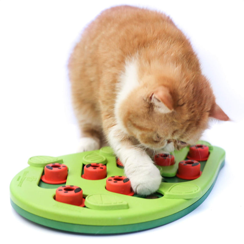 Nina Ottosson from Petstages Buggin Out Puzzle & Play - Interactive cat toy for treats Treat Puzzle - PawsPlanet Australia