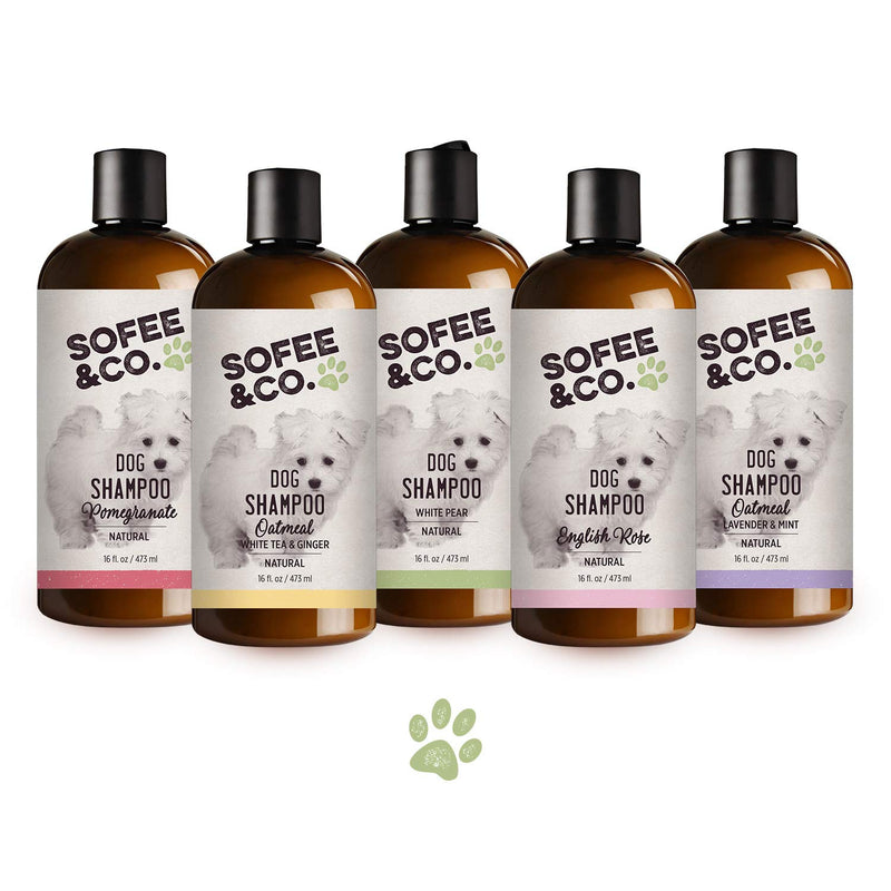 [Australia] - Sofee & Co. Natural Dog Puppy Shampoo - Clean Moisturize Deodorize Detangle Soothe Soften Normal Dry Itchy Flaky Allergy Sensitive Skin. Prevent Mattes. 16 oz Pomegranate 