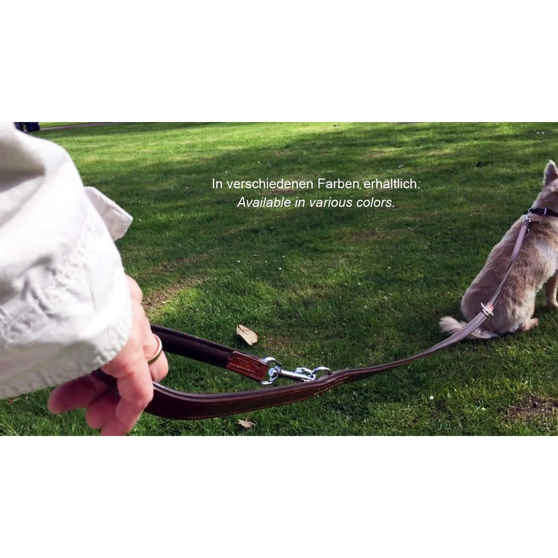 Schnüffelfreunde dog leash made of leather - training leash - leather leash for the dog - leash 3-way adjustable, for all dogs (230cm, red) 230cm - PawsPlanet Australia