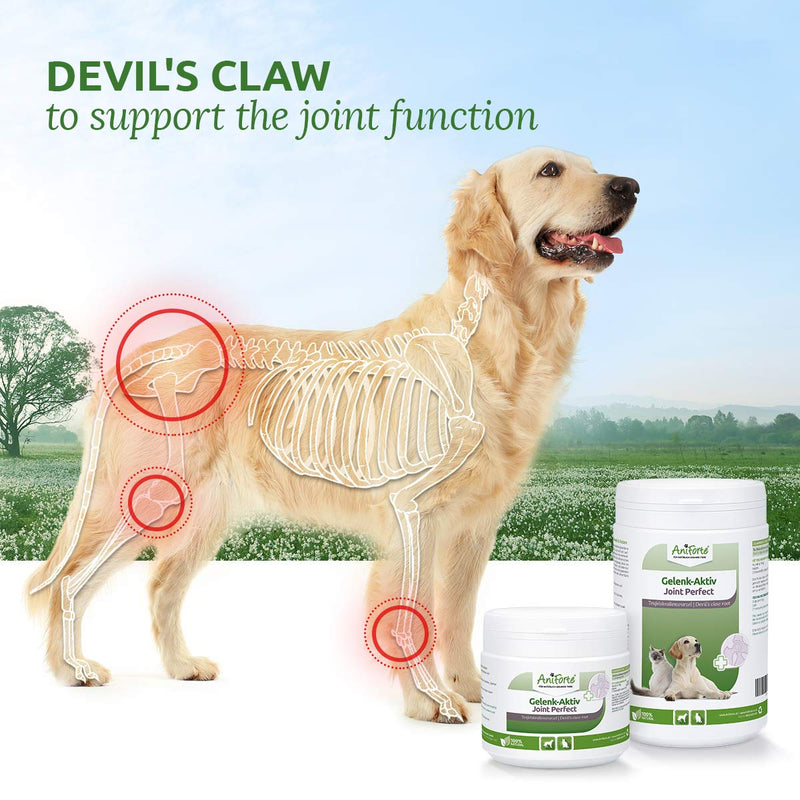 AniForte Devil’s Claw Root 500g: Joint Supplement for Dogs & Cats - Natural Joint Supplement for Stiff Joints, Ligaments & Tendons, Maintains Mobility - PawsPlanet Australia