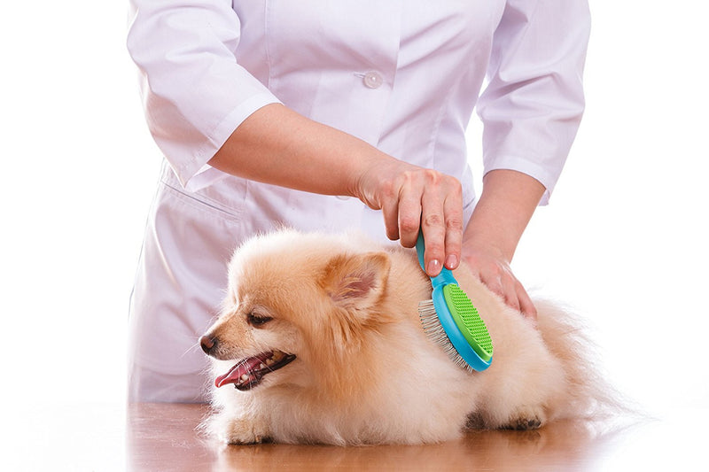 Boshel Dog Hair Brush & Rubber Dog Hair Remover 2 in 1 Ergonomic Pin Brush Detangles & Eliminates Excess Undercoat Fur & Cleans the Hair from your Clothes Etc. with the same Dog grooming Brush - PawsPlanet Australia