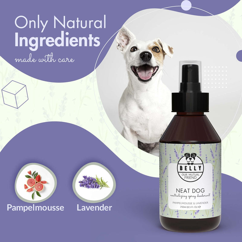 Belly Dog Deodoriser Spray - Natural Dog Perfume Spray and Dog Cologne Spray - Dog Spray For Smelly Dogs - Grooming Products For Dogs, Dog Deodorant Spray, Puppy Spray, Puppy Perfume Spray, 250 ml - PawsPlanet Australia