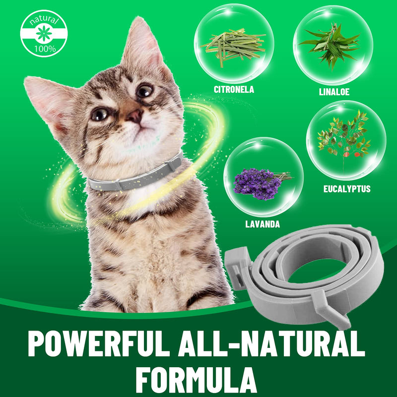 Cat Flea and Tick Collar, Luminous Safety Glow Flea Tick Natural Treatment Flea and Tick Collar, 8 Months Effective Protection Waterproof Adjustable for All Sized Kittens Cats and Pets-1 Pack luminous-1 pack - PawsPlanet Australia
