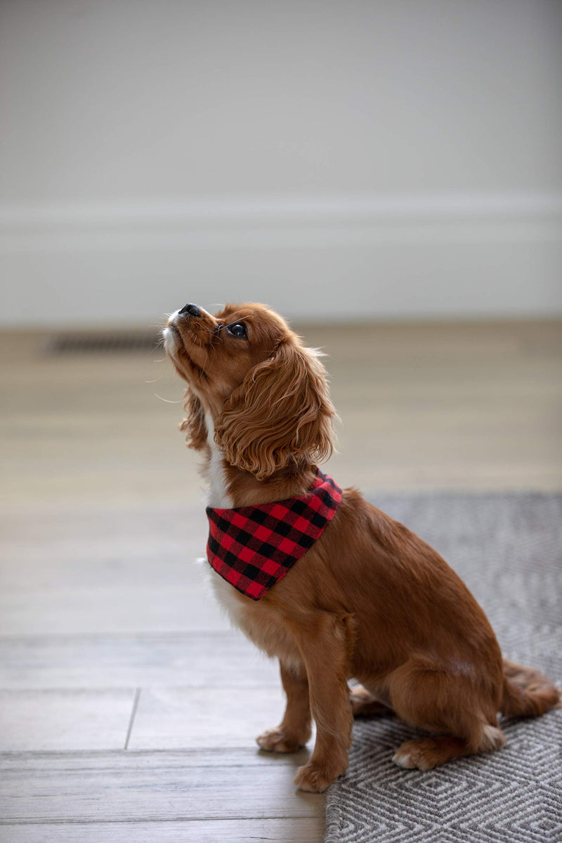 Reversible Plaid Pet Bandana (Small, Medium, or Large) Soft Cotton for Dogs, Pack of 3 Small - PawsPlanet Australia