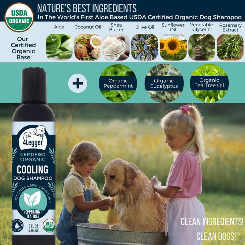 [Australia] - 4Legger All Natural Tea Tree USDA Certified Organic Dog Shampoo with Peppermint - A Natural Holistic Alternative to Medicated Dog Shampoo for Antifungal Antibacterial Itchy Skin Concentrated USA 8 oz 