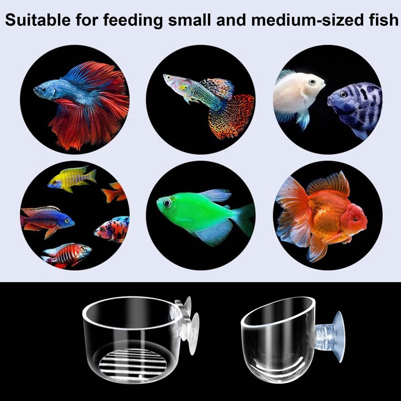 Pizsieat Pack of 8 Aquarium Plant Holders with Suction Cup, Aquarium Plant Glass Cup Transparent Water Plant Pot Glass for Aquarium Landscape Mini Fish Tank Decoration - PawsPlanet Australia