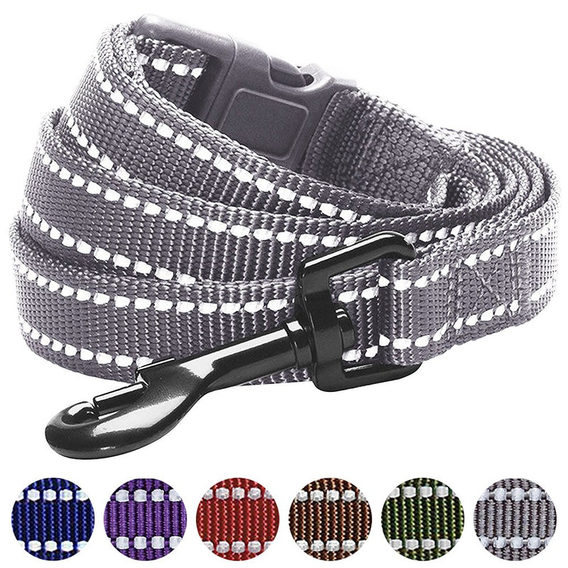 Blueberry Pet Durable 3M Reflctive Dog Lead 150 cm x 1.5cm in Neutral Gray, Small, Leads for Dogs, Matching Collar Available Separately 1.5cm x 150cm Neutral Gray with 3M Reflective Material - PawsPlanet Australia