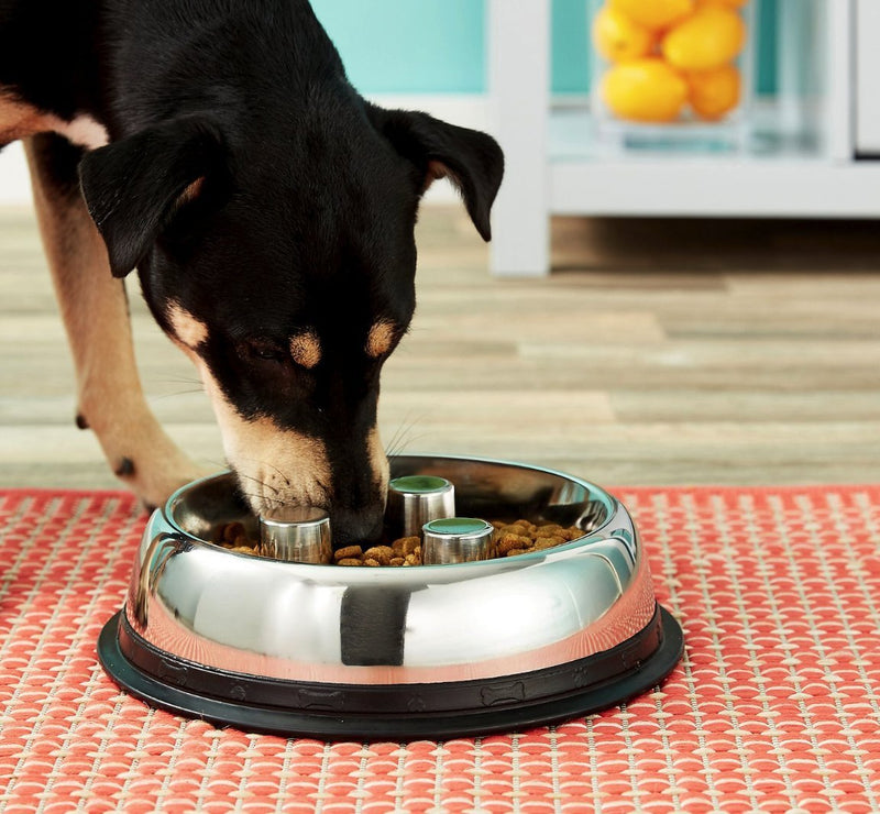 [Australia] - Top Dog Chews Brake-Fast Slow Feed Stainless Steel Bowls 2 Quart, 64oz, 5 Cups 