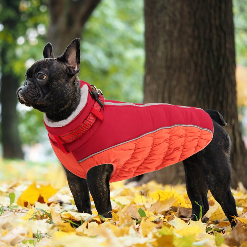 ASENKU Warm Dog Coat, Winter Dog Jacket with Harness, Waterproof Dog Coat with Belly Protection, Dog Clothing Outfit for Small Large Dogs, Warm Fleece Dog Coat, Red, XL - PawsPlanet Australia