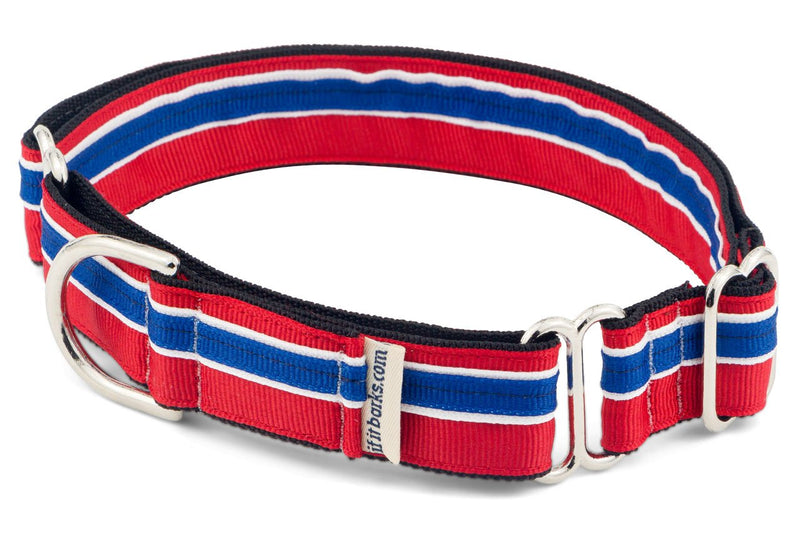[Australia] - If It Barks 1" Martingale Collar for Dogs, Adjustable Nylon, USA Made Medium (15"-22") Patriotic 