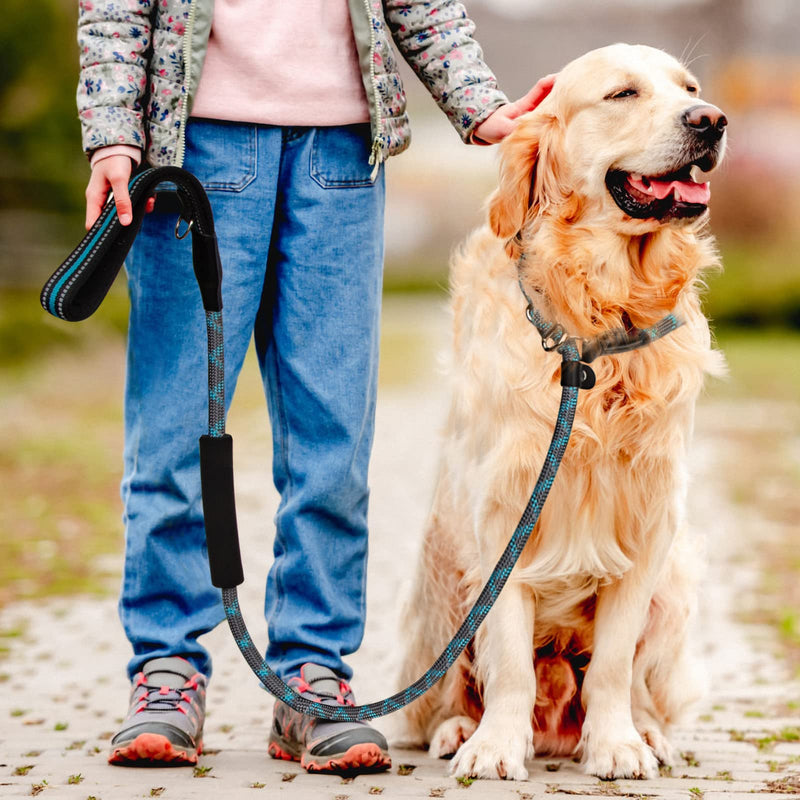 Strong dog leash 1.8m adjustable training leash for large dogs with comfortable padded handle for training and walking - PawsPlanet Australia