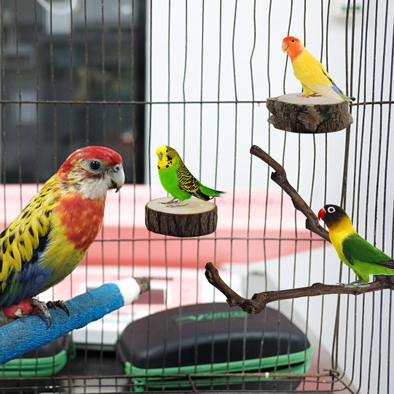 Deloky Bird Parrot Perch Platform-Natural Bird Perch Stand-2 PCS Wooden Playground Cage Accessories for Small Parakeets Budgies Cockatiels Conure Lovebirds - PawsPlanet Australia