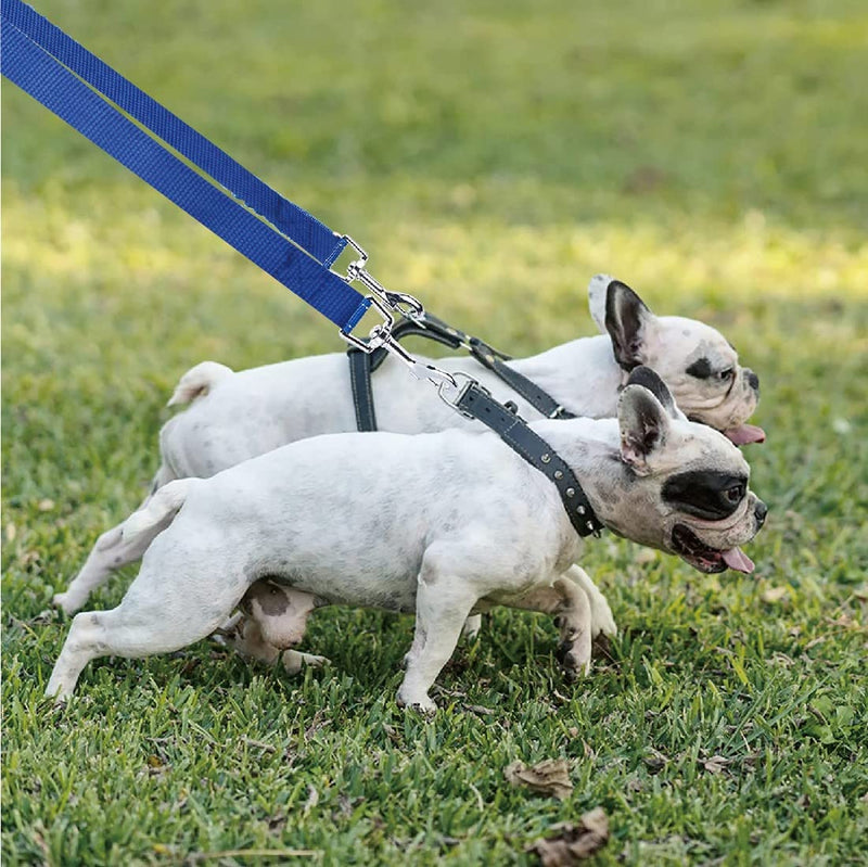 Double dog leash, dog leash for two dogs, double leash, no tangles, suitable for small dogs, for 2 dogs for walking, training and jogging, blue - PawsPlanet Australia