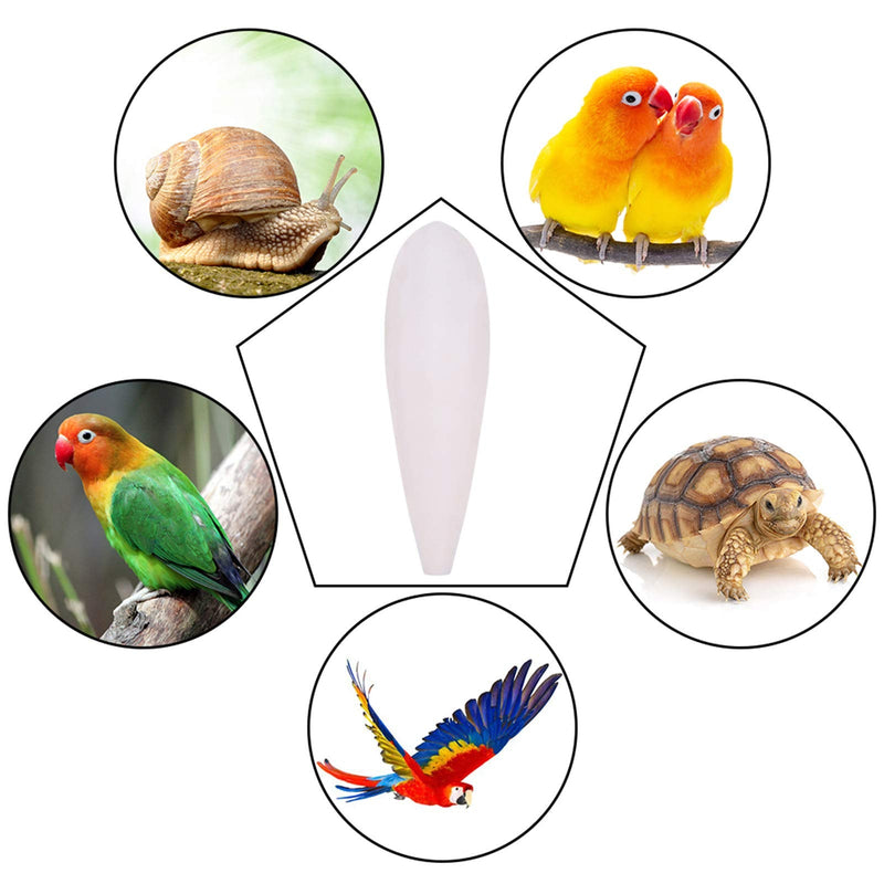 Yorgewd Parrots Chew Toys Birds Chew Toys 3 Pieces Natural Cuttlefish Bone for Parrots Cage Birds Reptiles Tortoises Snails,14-15.5cm - PawsPlanet Australia