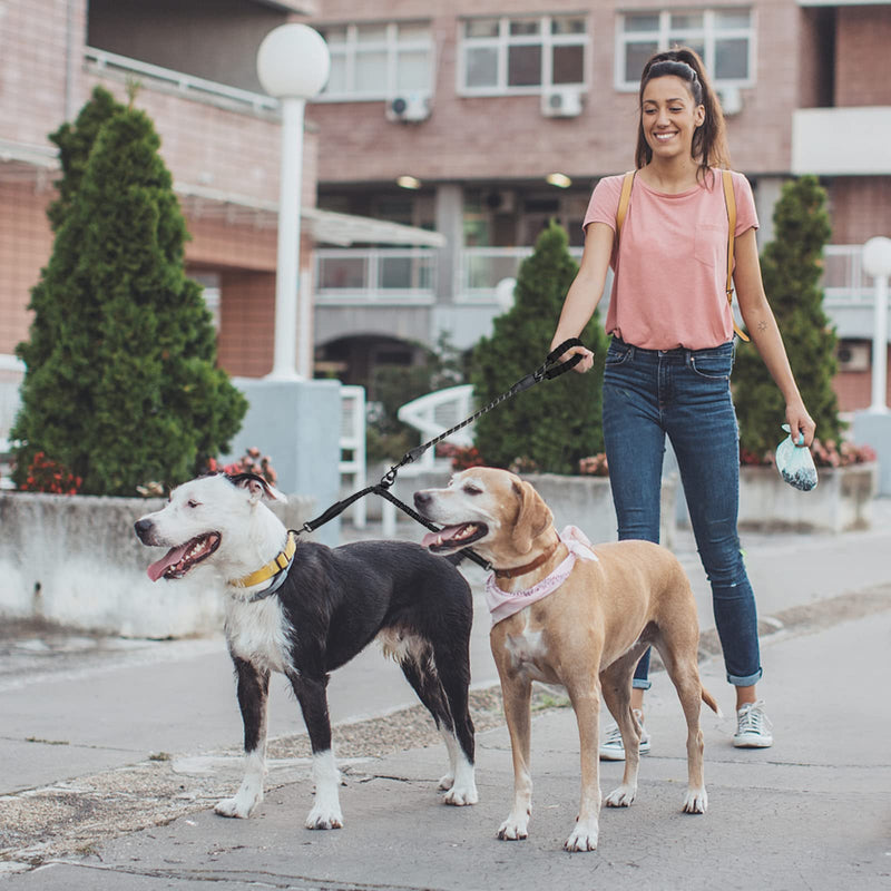Double Leash for 2 Dogs, RUNEAY Double Leash for Dogs with Padded Handles, No Tangle Double Leashes Flexible Dog Leash Splitter for Two Dogs, Double Leash for Small & Large Dogs - PawsPlanet Australia