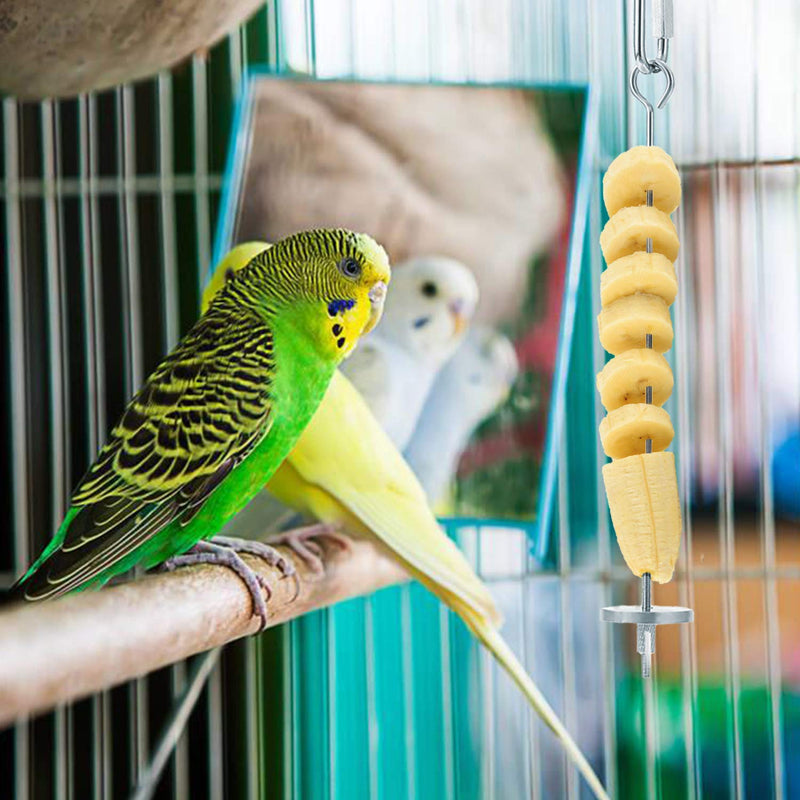 [Australia] - RAYFARMO Parrot Food Holder，Bird Toys for Parrot Parakeet Cockatiel Conure Finch Canary 2 Pack 