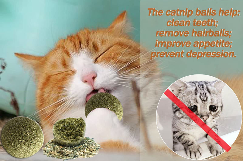 Catnip Ball Toys Including 2 Catnip Balls and 1 Jingle Ball Toy, Chew Toys Teeth Cleaning Hairball Removal - Interactive Cat Kicker Kitty Toys Cat Ball Toys - PawsPlanet Australia