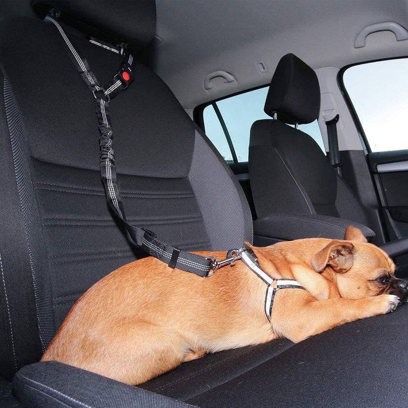 WDEC Dog Seat Belt, Adjustable, with Elastic Bungee Buffer and Reflective Stripe Line, Can Be Connected with Dog Harness, Dog Car Seat Belt Restraint, Used in Daily Travel (rose Red) rose Red - PawsPlanet Australia