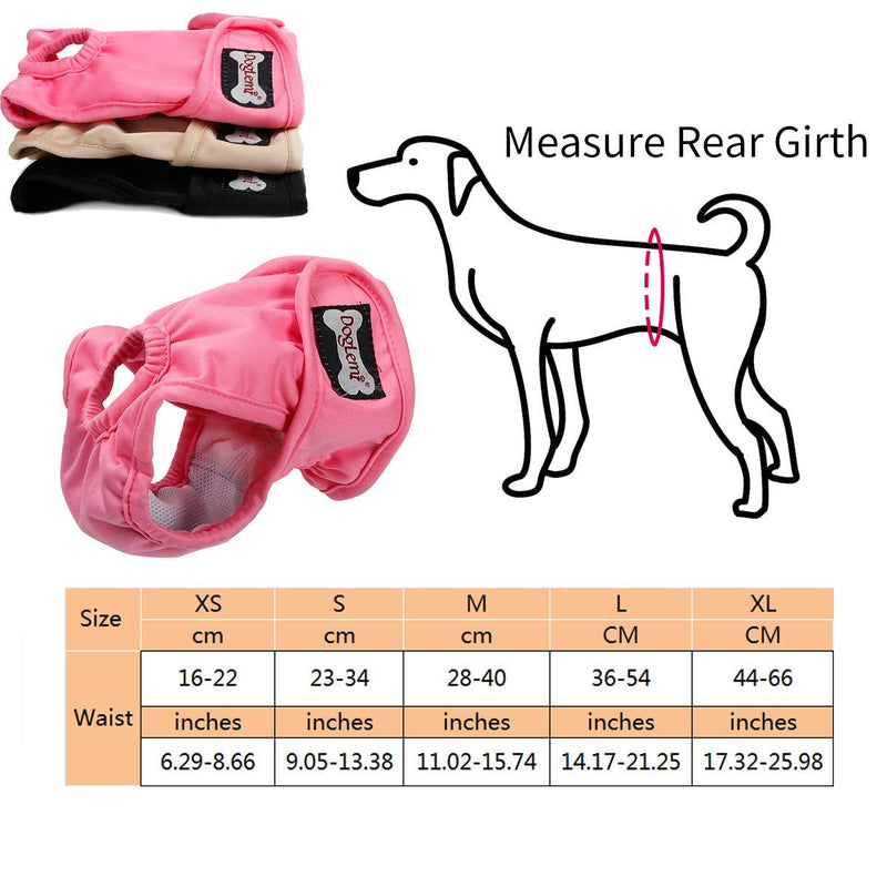 RC GearPro Female Dog Diapers, Pack of 3 Washable Reusable Sanitary Panties for Small to Large Dogs L - PawsPlanet Australia