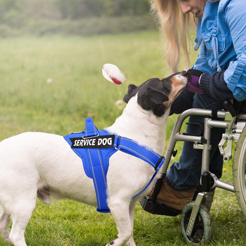 [Australia] - Service Dog Harness, No-Pull Reflective Vest Harness Adjustable Outdoor Pet Vest - Easy On & Off Comfort Pet Halters Breathable Oxford Soft Vest with Easy Control Handle for Small Medium Large Dogs L (NECK: 17″-27″/CHEST: 26″-34″) Blue 