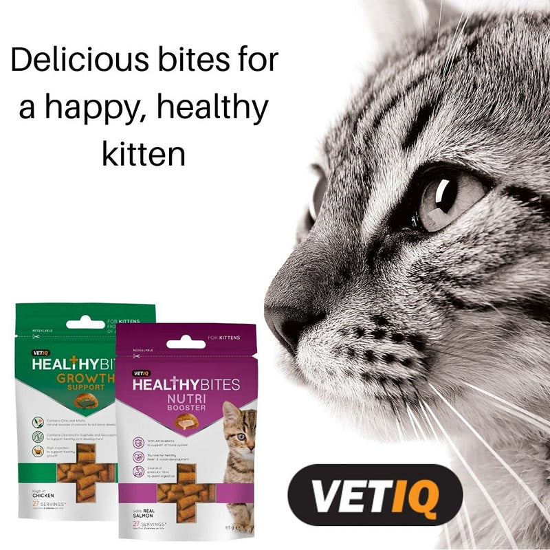 VetIQ Healthy Bites Urinary Care For Cats & Kittens 65g - Pack of 8 & Healthy Bites Hairball Remedy For Cats and Kittens 65g - Pack of 8 - PawsPlanet Australia