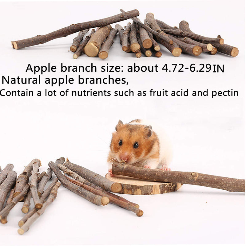 QHZHANG Hamster Chew Toys，24PCS Combined Chew Toys Molar Sticks Sweet Bamboo Apple Branch Molar Toy for Rabbits Pets Chinchilla Squirrel Gerbil Hamster Squirrel Guinea A - PawsPlanet Australia