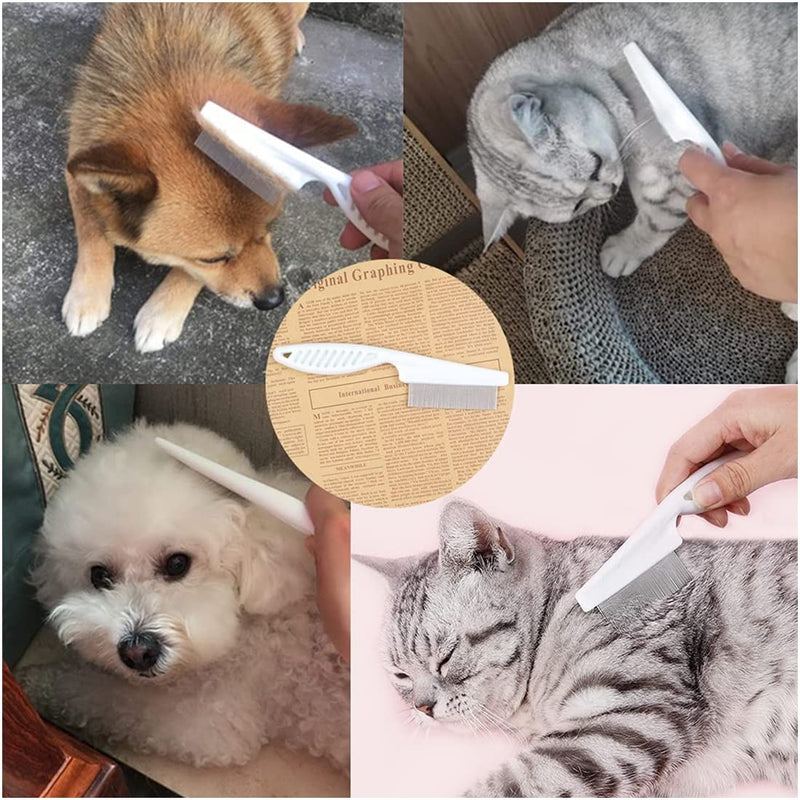Zeayebsr Pack of 2 Dog Combs, Cat Combs, Steel Dog Combs, Metal Steel Cat Combs, Cat Combs, Medium Length Hair (Blue + White) - PawsPlanet Australia