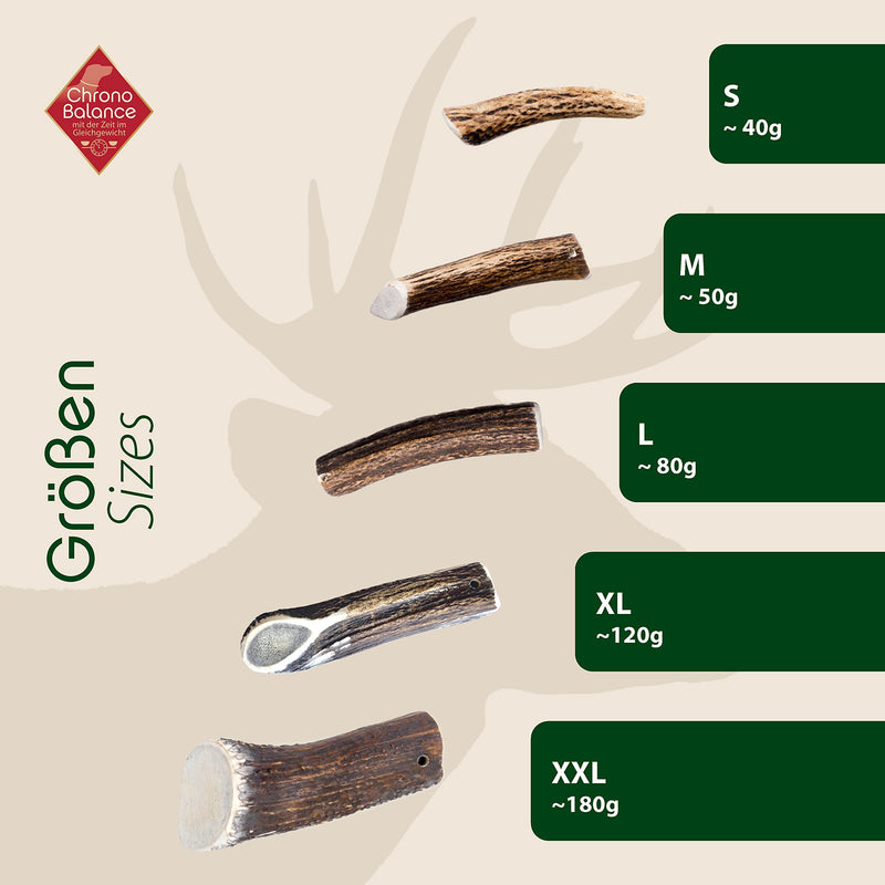 ChronoBalance® Antler Chew Stick for Dogs: XL Chew Toy Dental Care Chew Stick Made of 100% Deer Antler: Dog Toy Chew Root Treat Chew Wood Dental Hygiene Chew Bone Set: Naturally Safe Robust XL (Pack of 1) - PawsPlanet Australia