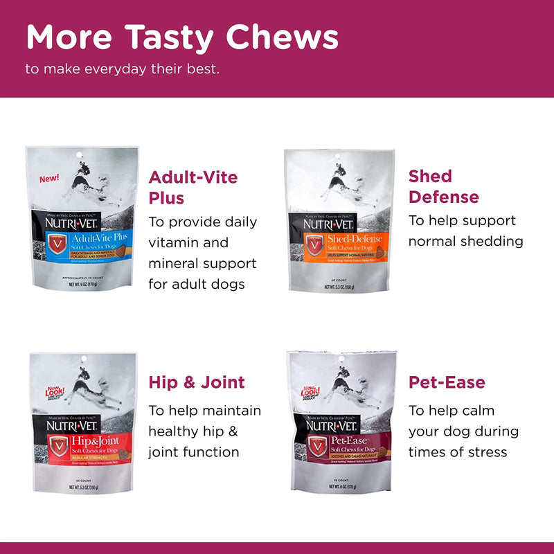 Nutri-Vet Pre and Probiotic Soft Chews for Dogs | Digestive Health Support Dog Probiotics | Tasty Alternative to Dog Probiotic Powder | 120 Soft Chews - PawsPlanet Australia