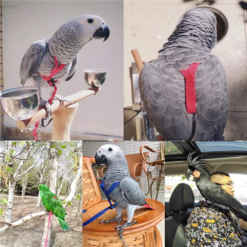 [Australia] - Bird Harness - Bird Leash for Conures- Adjustable Parrot Leash, Bird Nylon Rope, Anti Bite, Suitable for All Kinds of Parrots, Dove（M） 