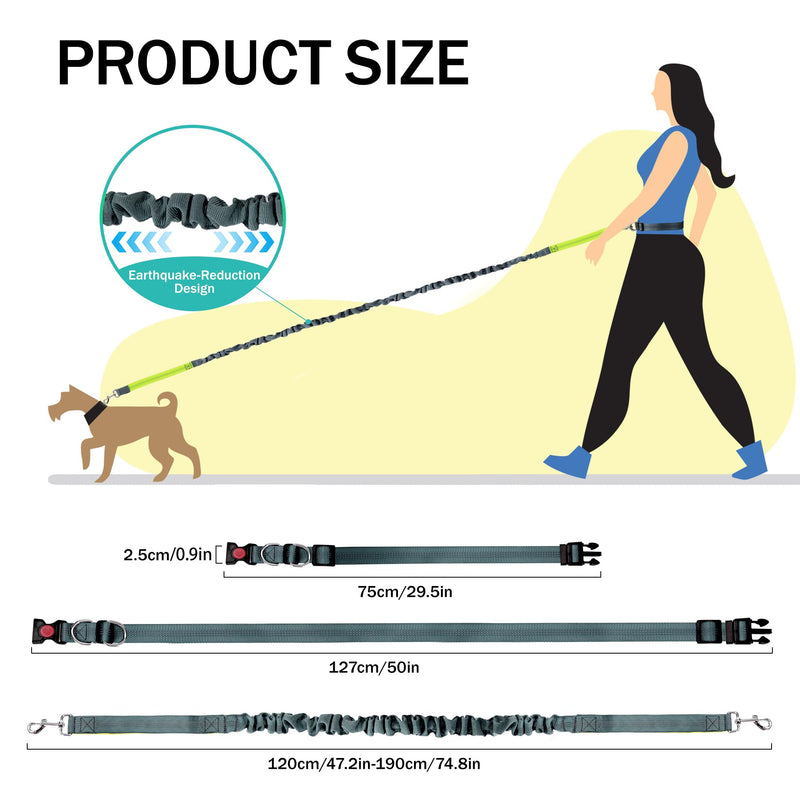 Jogging Leash for Dogs Retractable Dog Leash for Running with Adjustable Belt Hands-Free Leashes for Dogs Jogging, Hiking, Walking - PawsPlanet Australia