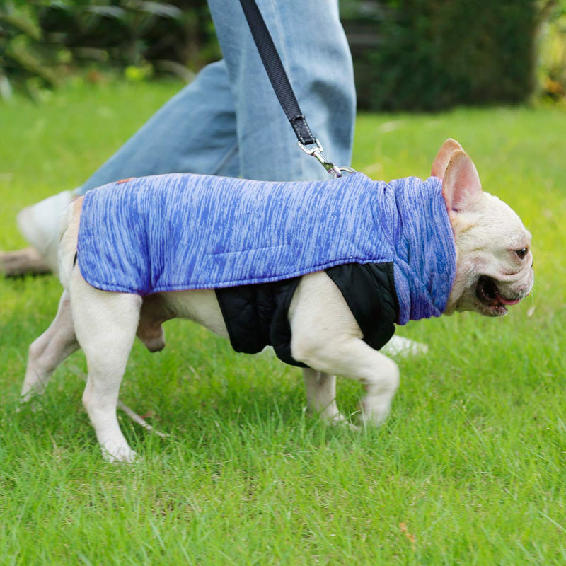 Homieco Warm Dog Coat, Autumn Winte Warm Dog Clothes, Double-sided Pet Jacket, Warm Cotton Velvet Clothing for Pet Dog - Blue M - PawsPlanet Australia