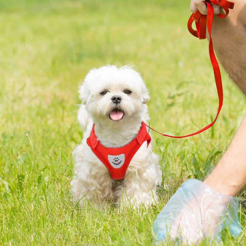 Dog Harness for Small Dogs with Leash, Soft Chihuahua Puppy Harness, Dog Adjustable Chest Belt, Reflective Strip Breathable Mesh Pet Oxford Vest with Quick-Release Black,Red,Blue X-Small - PawsPlanet Australia