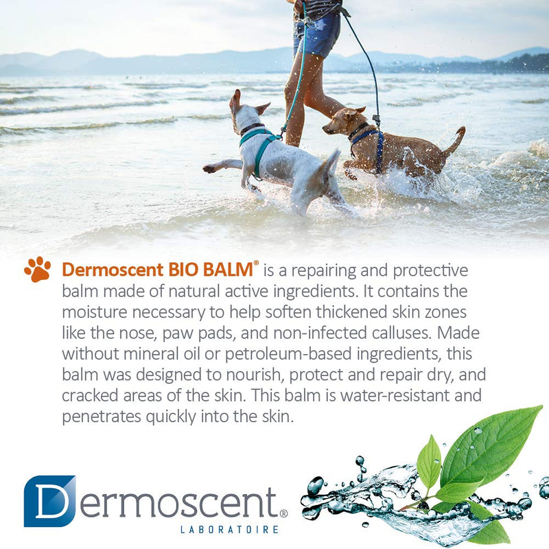 Dermoscent Dog Paw Balm - Organic Moisturizer for Elbow, Paw Pads and Nose - Cracked & Dry Skin Relief - 50ml Jar - PawsPlanet Australia