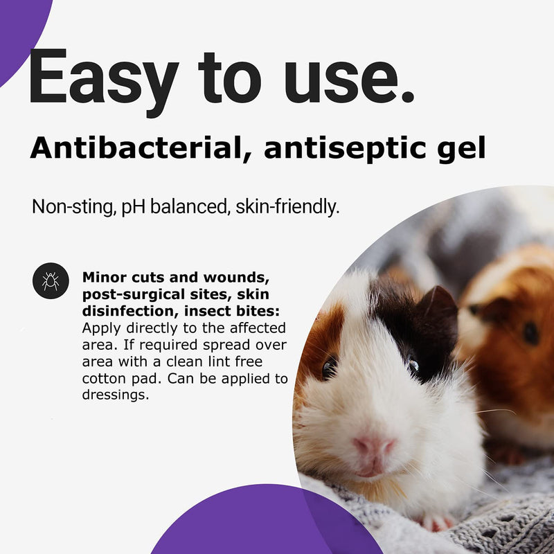 RenaSan Antiseptic Gel (100 ml)  Hypochlorous Antiseptic - Wound and Skin Care For All Animals, Dogs, Cats, Equine, Avian, Reptile - PawsPlanet Australia