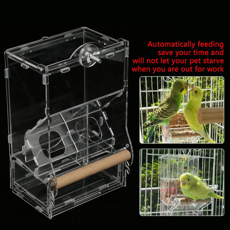 Feeding bowl, birds, parakeet feeder, acrylic, automatic pet seed feeder, transparent food container, cage assembly with perch, M b - PawsPlanet Australia